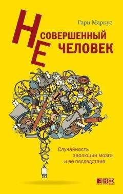 Гари Маркус - Несовершенный человек. Случайность эволюции мозга и ее последствия. - Читать 📖 Читать онлайн 👀 Читаемые книги читать онлайн бесплатно booksread-online.com