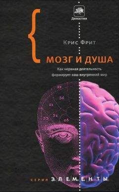 Крис Фрит - Мозг и душа: как нервная деятельность формирует наш внутренний мир - Читать 📖 Читать онлайн 👀 Читаемые книги читать онлайн бесплатно booksread-online.com