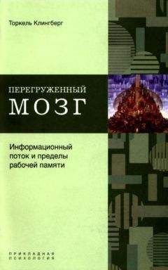 Торкель Клингберг - Перегруженный мозг. Информационный поток и пределы рабочей памяти - Читать 📖 Читать онлайн 👀 Читаемые книги читать онлайн бесплатно booksread-online.com