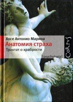 Хосе Антонио Марина - Анатомия страха. Трактат о храбрости - Читать 📖 Читать онлайн 👀 Читаемые книги читать онлайн бесплатно booksread-online.com