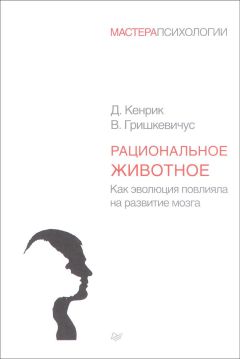 Дуглас Кенрик - Рациональное животное. Как эволюция повлияла на развитие мозга - Читать 📖 Читать онлайн 👀 Читаемые книги читать онлайн бесплатно booksread-online.com
