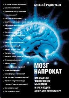 Алексей Редозубов - Мозг напрокат. Как работает человеческое мышление и как создать душу для компьютера - Читать 📖 Читать онлайн 👀 Читаемые книги читать онлайн бесплатно booksread-online.com