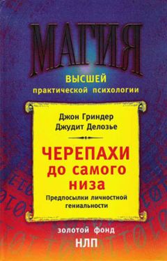 Джон Гриндер - Черепахи до самого низа. Предпосылки личной гениальности - Читать 📖 Читать онлайн 👀 Читаемые книги читать онлайн бесплатно 🔥 booksread-online.com
