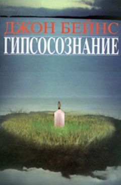Джон Бейнс - Гипсосознание - Читать | Читать онлайн | Читаемые книги читать онлайн бесплатно | booksread-online.com