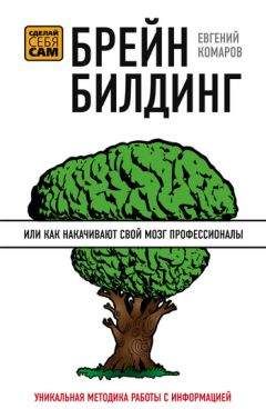 Евгений Комаров - Брейнбилдинг, или Как накачивают свой мозг профессионалы - Читать | Читать онлайн | Читаемые книги читать онлайн бесплатно | booksread-online.com