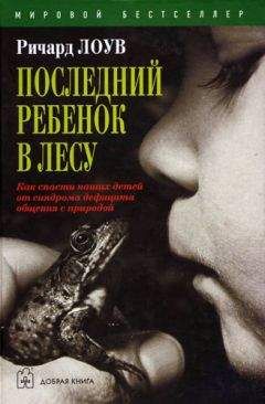 Ричард Лоув - Последний ребенок в лесу - Читать 📖 Читать онлайн 👀 Читаемые книги читать онлайн бесплатно booksread-online.com
