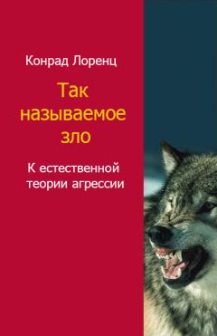 Лоренц Конрад - Так называемое зло - Читать 📖 Читать онлайн 👀 Читаемые книги читать онлайн бесплатно booksread-online.com