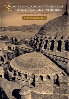 Михаил Шкаровский - Константинопольский Патриархат и Русская Православная Церковь в первой половине XX века - Читать | Читать онлайн | Читаемые книги читать онлайн бесплатно | booksread-online.com