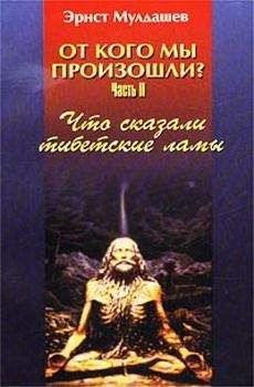 Эрнст Мулдашев - Что сказали тибетские ламы - Читать | Читать онлайн | Читаемые книги читать онлайн бесплатно | booksread-online.com