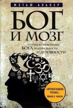 Мэтью Альпер - Бог и мозг: Научное объяснение Бога, религиозности и духовности - Читать 📖 Читать онлайн 👀 Читаемые книги читать онлайн бесплатно 🔥 booksread-online.com