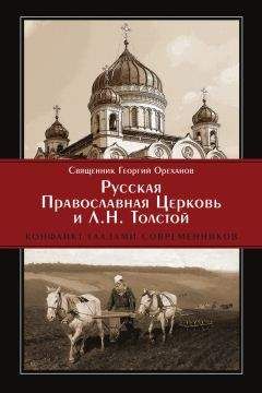 Протоиерей Георгий Ореханов - Русская Православная Церковь и Л. Н. Толстой. Конфликт глазами современников - Читать 📖 Читать онлайн 👀 Читаемые книги читать онлайн бесплатно 🔥 booksread-online.com