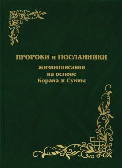 Наталья Магомедова - Пророки и Посланники. Жизнеописания на основе Корана и Сунны - Читать 📖 Читать онлайн 👀 Читаемые книги читать онлайн бесплатно 🔥 booksread-online.com