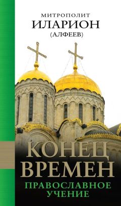 Митрополит Иларион (Алфеев) - Конец времен: Православное учение - Читать | Читать онлайн | Читаемые книги читать онлайн бесплатно | booksread-online.com