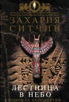Захария Ситчин - Лестница в небо. В поисках бессмертия - Читать 📖 Читать онлайн 👀 Читаемые книги читать онлайн бесплатно 🔥 booksread-online.com