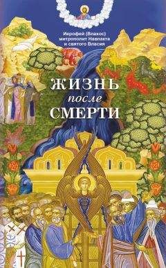 Митрополит Иерофей Влахос - Жизнь после смерти - Читать | Читать онлайн | Читаемые книги читать онлайн бесплатно | booksread-online.com