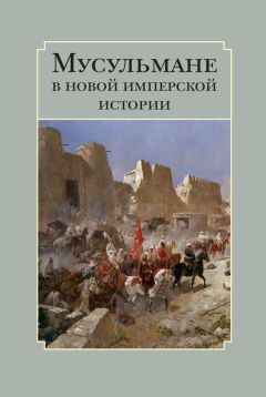 Сборник статей - Мусульмане в новой имперской истории - Читать 📖 Читать онлайн 👀 Читаемые книги читать онлайн бесплатно 🔥 booksread-online.com
