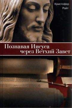 Кристофер Райт - Познавая Иисуса через Ветхий Завет - Читать 📖 Читать онлайн 👀 Читаемые книги читать онлайн бесплатно 🔥 booksread-online.com