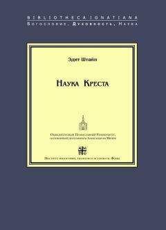 Эдит Штайн - Наука Креста. Исследование о святом Хуане де ла Крусе - Читать | Читать онлайн | Читаемые книги читать онлайн бесплатно | booksread-online.com