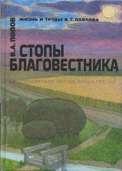 Владимир Попов - Стопы благовестника - Читать 📖 Читать онлайн 👀 Читаемые книги читать онлайн бесплатно 🔥 booksread-online.com