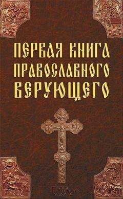 Павел Михалицын - Первая книга православного верующего - Читать 📖 Читать онлайн 👀 Читаемые книги читать онлайн бесплатно 🔥 booksread-online.com