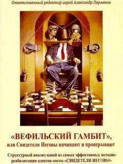 Иерей Александр Пермяков - «Вефильский Гамбит», или Свидетели Иеговы начинают и проигрывают. Структурный анализ одной из самых эффективных методик реабилитации адептов секты &quot;Свидетели Иеговы&quot; - Читать 📖 Читать онлайн 👀 Читаемые книги читать онлайн бесплатно 🔥 booksread-online.com