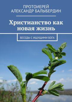 Александр Балыбердин - Христианство как новая жизнь. Беседы с ищущими Бога - Читать 📖 Читать онлайн 👀 Читаемые книги читать онлайн бесплатно 🔥 booksread-online.com