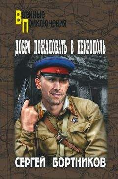 Сергей Бортников - Добро пожаловать в Некрополь - Читать 📖 Читать онлайн 👀 Читаемые книги читать онлайн бесплатно 🔥 booksread-online.com