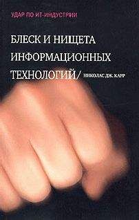 Николас Карр - Блеск и нищета информационных технологий. Почему ИТ не являются конкурентным преимуществом - Читать 📖 Читать онлайн 👀 Читаемые книги читать онлайн бесплатно 🔥 booksread-online.com