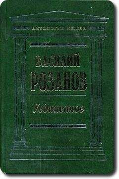 Василий Розанов - Легенда о Великом Инквизиторе Ф. М. Достоевского. Опыт критического комментария - Читать 📖 Читать онлайн 👀 Читаемые книги читать онлайн бесплатно 🔥 booksread-online.com