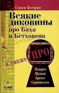 Стивен Иссерлис - Всякие диковины про Баха и Бетховена - Читать | Читать онлайн | Читаемые книги читать онлайн бесплатно | booksread-online.com