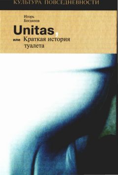 Игорь Богданов - Unitas, или Краткая история туалета - Читать 📖 Читать онлайн 👀 Читаемые книги читать онлайн бесплатно 🔥 booksread-online.com