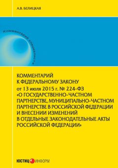 Анна Белицкая - Комментарий к Федеральному закону от 13 июля 2015 г. № 224-ФЗ «О государственно-частном партнерстве, муниципально-частном партнерстве в Российской Федерации и внесении изменений в отдельные законодательные акты Российской Федерации» - Читать 📖 Читать онлайн 👀 Читаемые книги читать онлайн бесплатно 🔥 booksread-online.com
