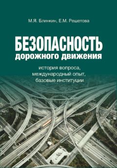 Михаил Блинкин - Безопасность дорожного движения. История вопроса, международный опыт, базовые институции - Читать 📖 Читать онлайн 👀 Читаемые книги читать онлайн бесплатно 🔥 booksread-online.com