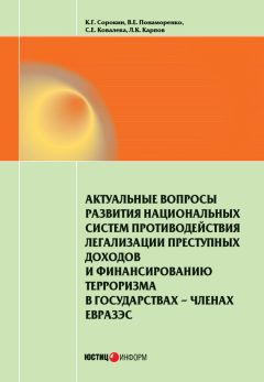 Константин Сорокин - Актуальные вопросы развития национальных систем противодействия легализации преступных доходов и финансированию терроризма в государствах-членах ЕврАзЭС - Читать 📖 Читать онлайн 👀 Читаемые книги читать онлайн бесплатно 🔥 booksread-online.com