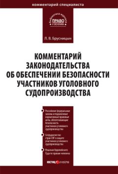 Леонид Брусницын - Комментарий законодательства об обеспечении безопасности участников уголовного судопроизводства - Читать 📖 Читать онлайн 👀 Читаемые книги читать онлайн бесплатно 🔥 booksread-online.com