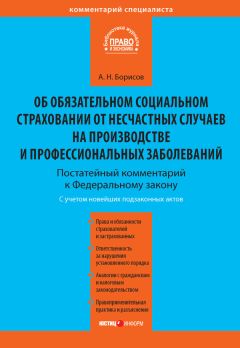 Александр Борисов - Комментарий к Федеральному закону от 24 июля 1998 г. №125-ФЗ «Об обязательном социальном страховании от несчастных случаев на производстве и профессиональных заболеваний» (постатейный) - Читать 📖 Читать онлайн 👀 Читаемые книги читать онлайн бесплатно 🔥 booksread-online.com
