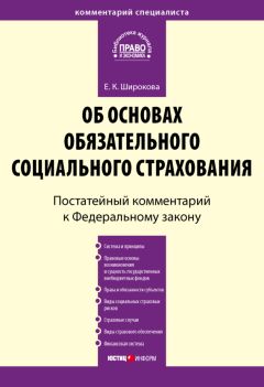 Евгения Широкова - Комментарий к Федеральному закону от 16 июля 1999 г. № 165-ФЗ «Об основах обязательного социального страхования» (постатейный) - Читать 📖 Читать онлайн 👀 Читаемые книги читать онлайн бесплатно 🔥 booksread-online.com