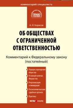 Александр Борисов - Комментарий к Федеральному закону «Об обществах с ограниченной ответственностью» (постатейный) - Читать | Читать онлайн | Читаемые книги читать онлайн бесплатно | booksread-online.com
