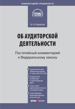 Александр Борисов - Комментарий к Федеральному закону от 30 декабря 2008 г. № 307-ФЗ «Об аудиторской деятельности» (постатейный) - Читать 📖 Читать онлайн 👀 Читаемые книги читать онлайн бесплатно 🔥 booksread-online.com