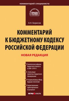 Александр Борисов - Комментарий к Бюджетному кодексу Российской Федерации - Читать 📖 Читать онлайн 👀 Читаемые книги читать онлайн бесплатно 🔥 booksread-online.com