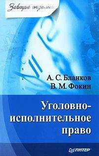В. Фокин - Уголовно-исполнительное право - Читать 📖 Читать онлайн 👀 Читаемые книги читать онлайн бесплатно 🔥 booksread-online.com