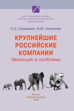Ирина Колесник - Крупнейшие российские компании. Эволюция и проблемы - Читать 📖 Читать онлайн 👀 Читаемые книги читать онлайн бесплатно 🔥 booksread-online.com
