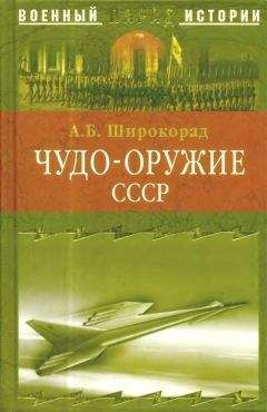 Александр Широкорад - ЧУДО-ОРУЖИЕ СССР -Тайны советского оружия - Читать 📖 Читать онлайн 👀 Читаемые книги читать онлайн бесплатно 🔥 booksread-online.com