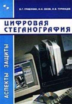 Вадим Грибунин - Цифровая стеганография - Читать 📖 Читать онлайн 👀 Читаемые книги читать онлайн бесплатно 🔥 booksread-online.com