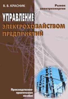 Валентин Красник - Управление электрохозяйством предприятий - Читать | Читать онлайн | Читаемые книги читать онлайн бесплатно | booksread-online.com