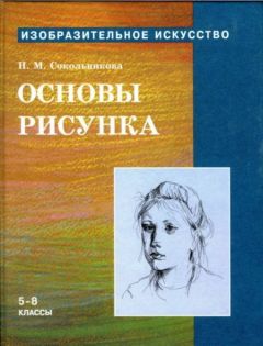 Наталья Сокольникова - Основы рисунка для учащихся 5-8 классов - Читать 📖 Читать онлайн 👀 Читаемые книги читать онлайн бесплатно 🔥 booksread-online.com
