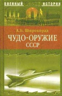 Александр Широкорад - Чудо-оружие СССР. Тайны советского оружия - Читать 📖 Читать онлайн 👀 Читаемые книги читать онлайн бесплатно 🔥 booksread-online.com