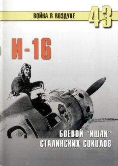 автор - И-16, Боевой "Ишак" сталинских соколов - Читать | Читать онлайн | Читаемые книги читать онлайн бесплатно | booksread-online.com