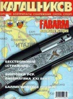 Алексей Белинский - Brown Bess и её семья - Читать 📖 Читать онлайн 👀 Читаемые книги читать онлайн бесплатно 🔥 booksread-online.com
