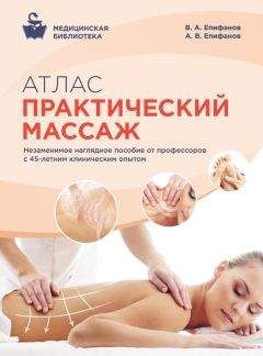 Александр Епифанов - Атлас. Практический массаж - Читать | Читать онлайн | Читаемые книги читать онлайн бесплатно | booksread-online.com